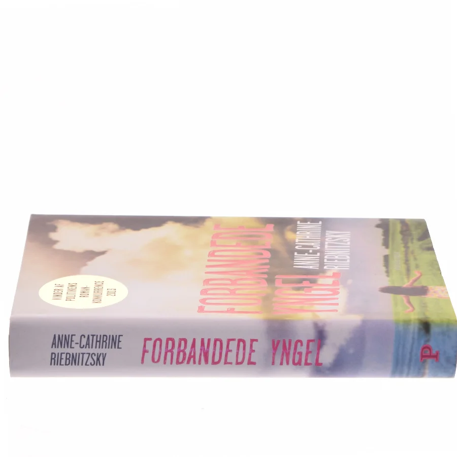 Forbandede yngel (Klassesæt) af Anne-Cathrine Riebnitzsky (Bog)