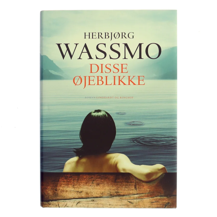 Disse øjeblikke : roman (Klassesæt) af Herbjørg Wassmo (Bog)