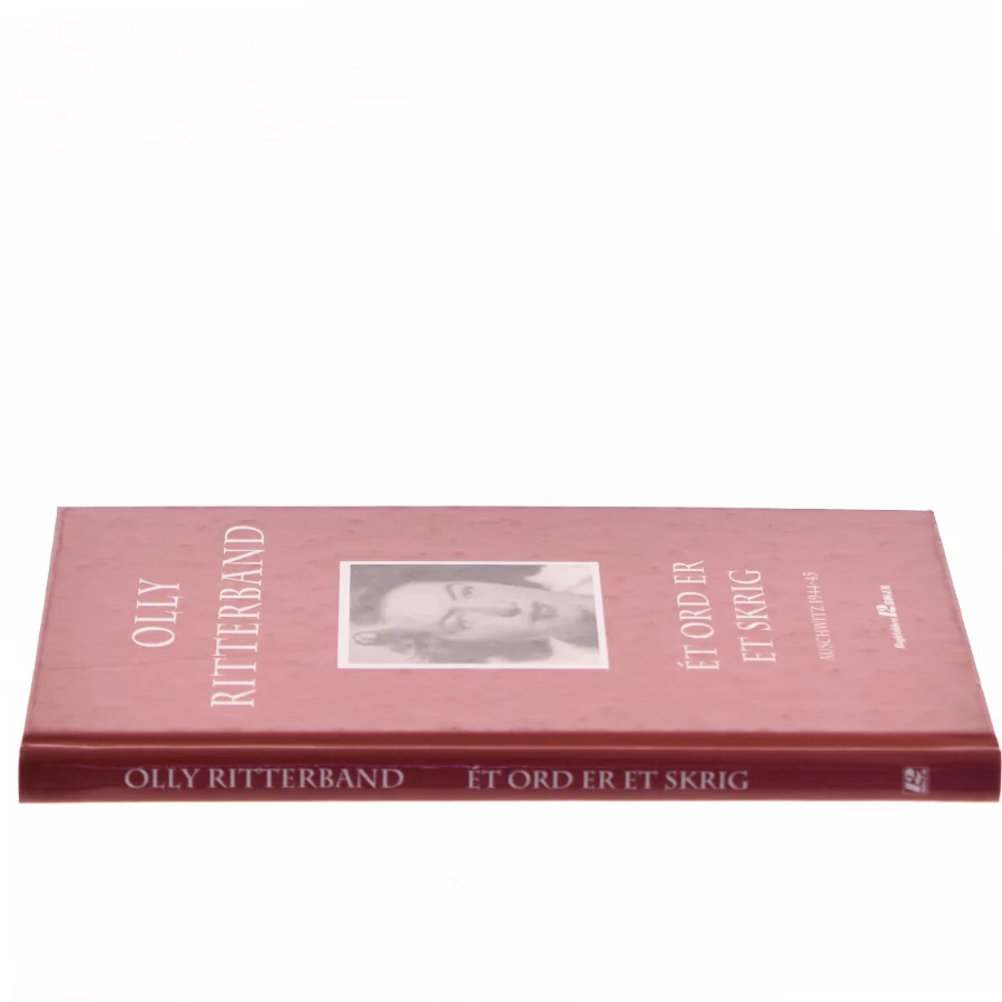Ét ord er et skrig af Olly Ritterband (Bog)