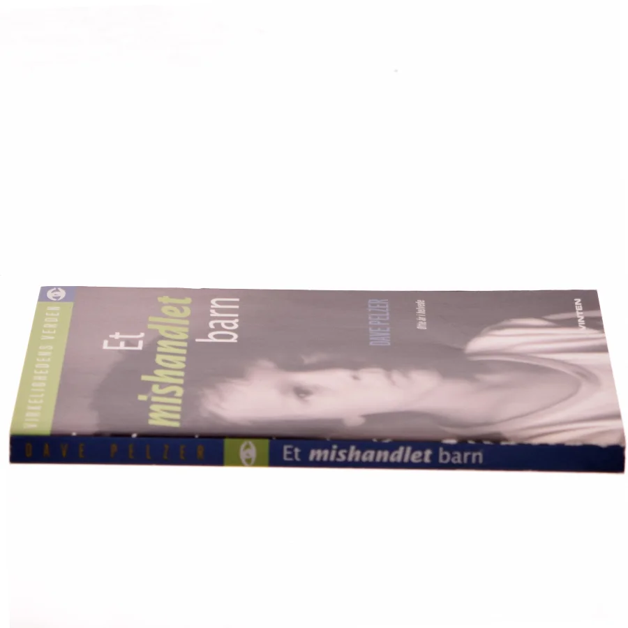 Et mishandlet barn af Dave Pelzer (Bog)