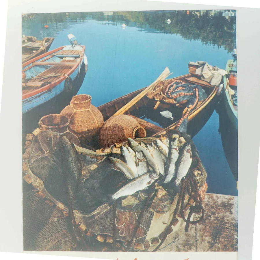 Guida Souvenir del Lago di Garda af Ukendt (Bog)