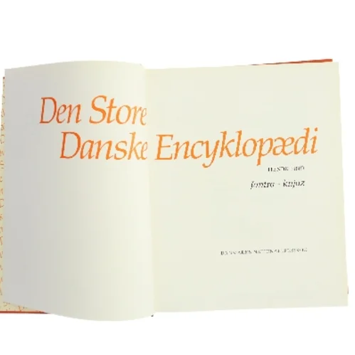Den Store Danske Encyklopædi. Bind 10: Jantra - knjaz af Danmarks Nationalleksikon (Bog)