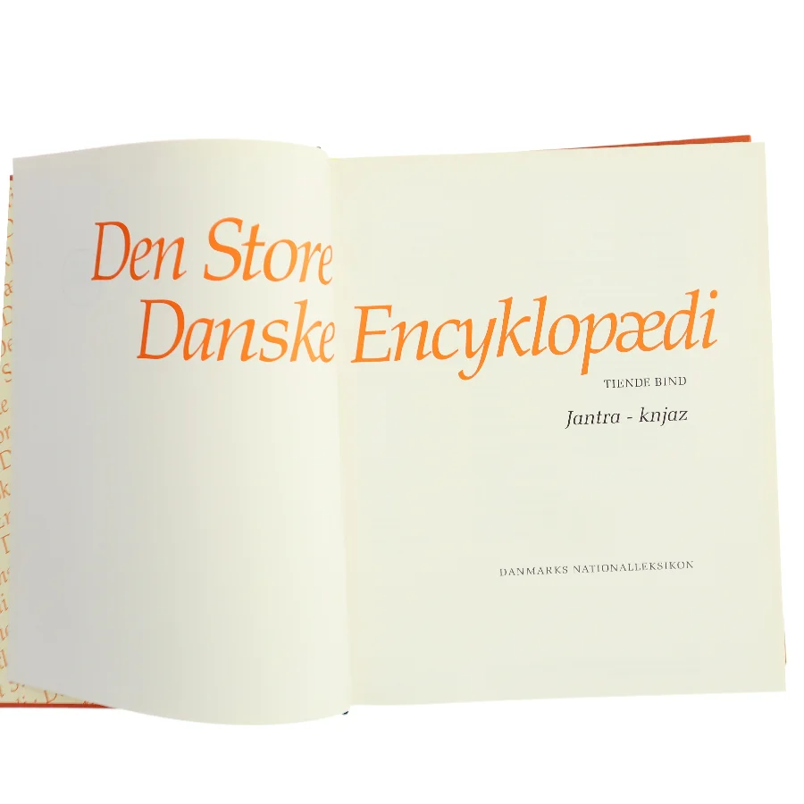 Den Store Danske Encyklopædi. Bind 10: Jantra - knjaz af Danmarks Nationalleksikon (Bog)