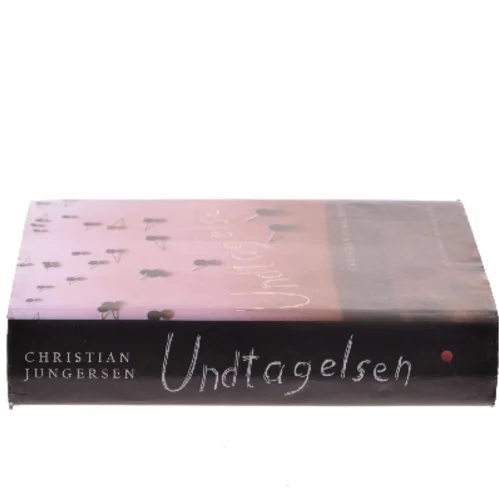 Undtagelsen : roman af Christian Jungersen (Bog)