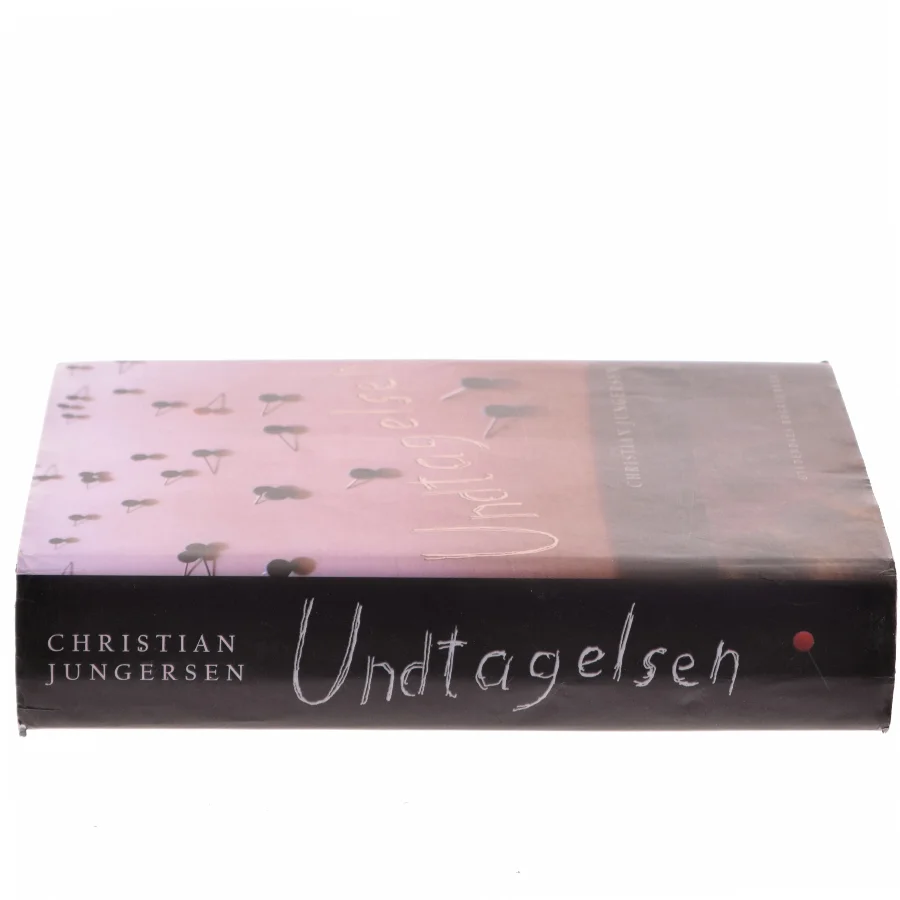 Undtagelsen : roman af Christian Jungersen (Bog)