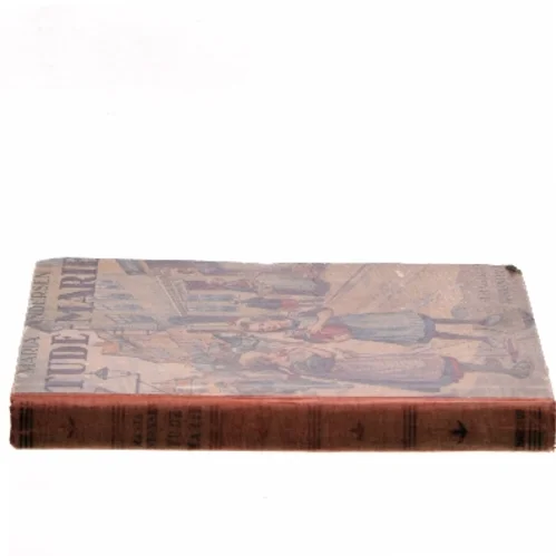 Tude-Marie af Maria Andersen (Bog)