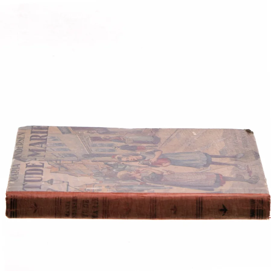 Tude-Marie af Maria Andersen (Bog)