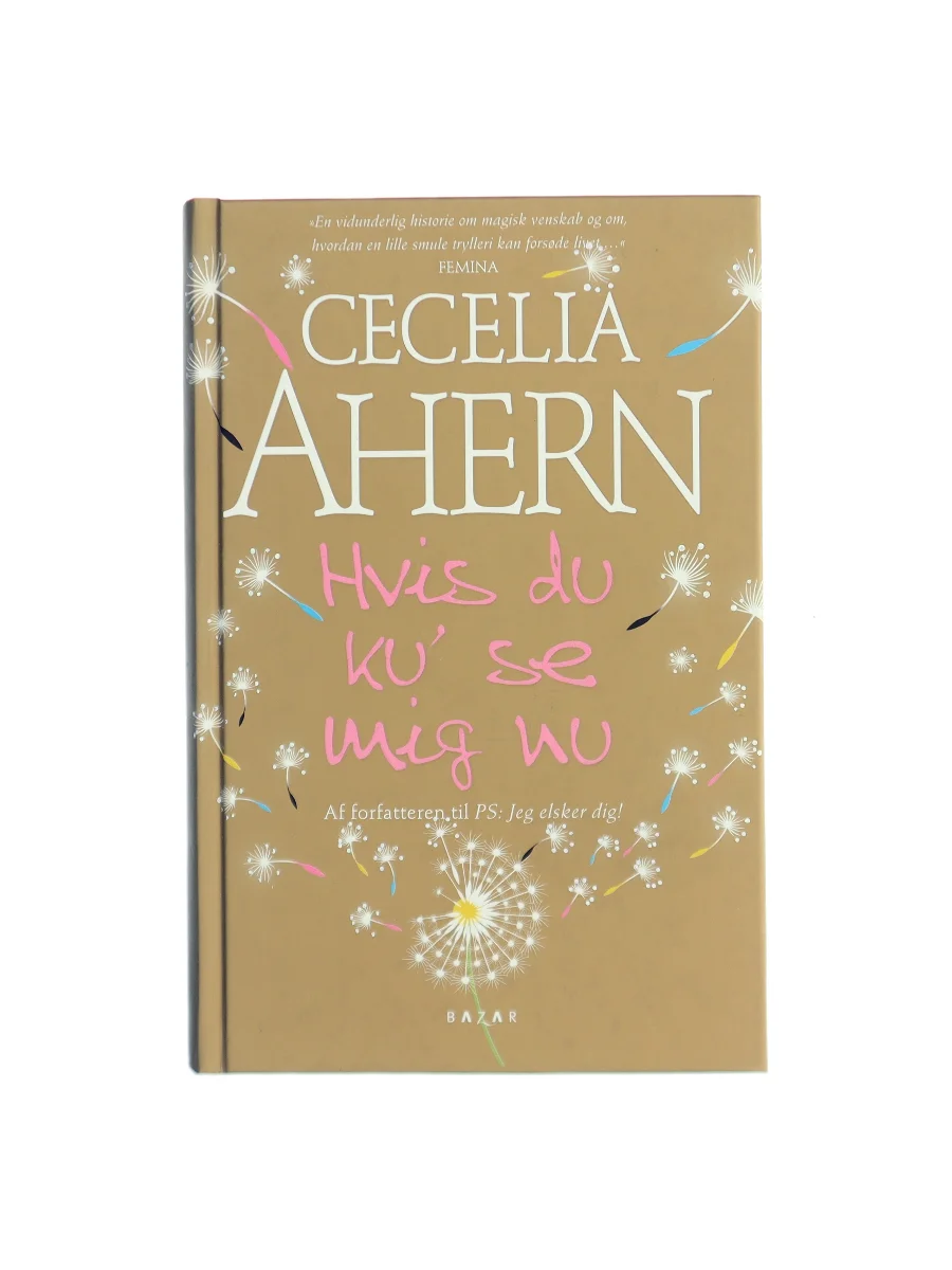 Forsiden af Hvis du ku' se mig nu (If You Could See Me Now) af Cecelia Ahern