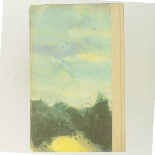 Den lange sommer af Kirsten Thorup (Bog)