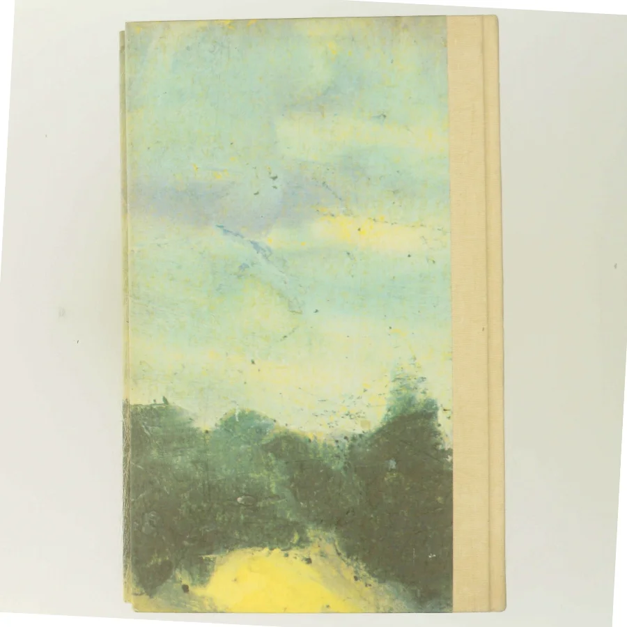 Den lange sommer af Kirsten Thorup (Bog)