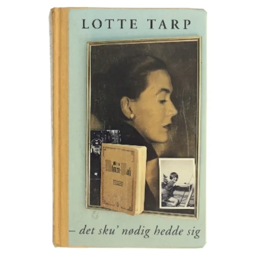 Det sku’ nødig hedde sig af Lotte Tarp (Bog)