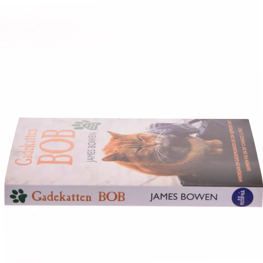 Gadekatten Bob : hvordan en gademusiker og en hjemløs kat sammen fik en ny chance i livet af James Bowen (f. 1979) (Bog)
