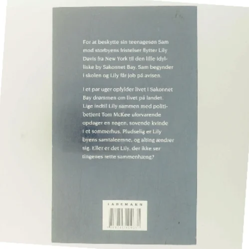 Langt fra storbyen af Delia Ephron (Bog)