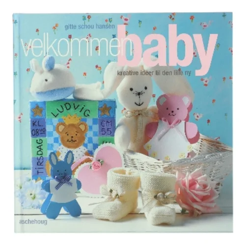 Velkommen baby af Gitte Schou Hansen (Bog)