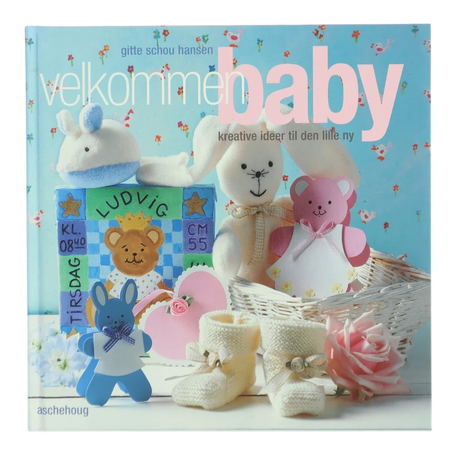 Velkommen baby af Gitte Schou Hansen (Bog)