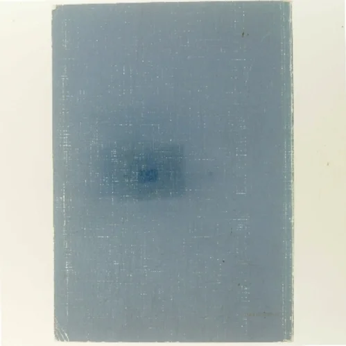 Navigation (Bog)