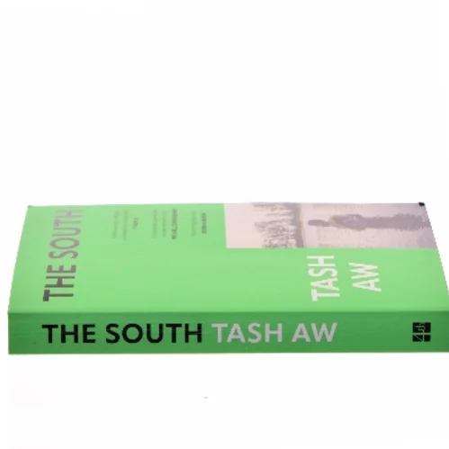 The south af Tash Aw (Bog)
