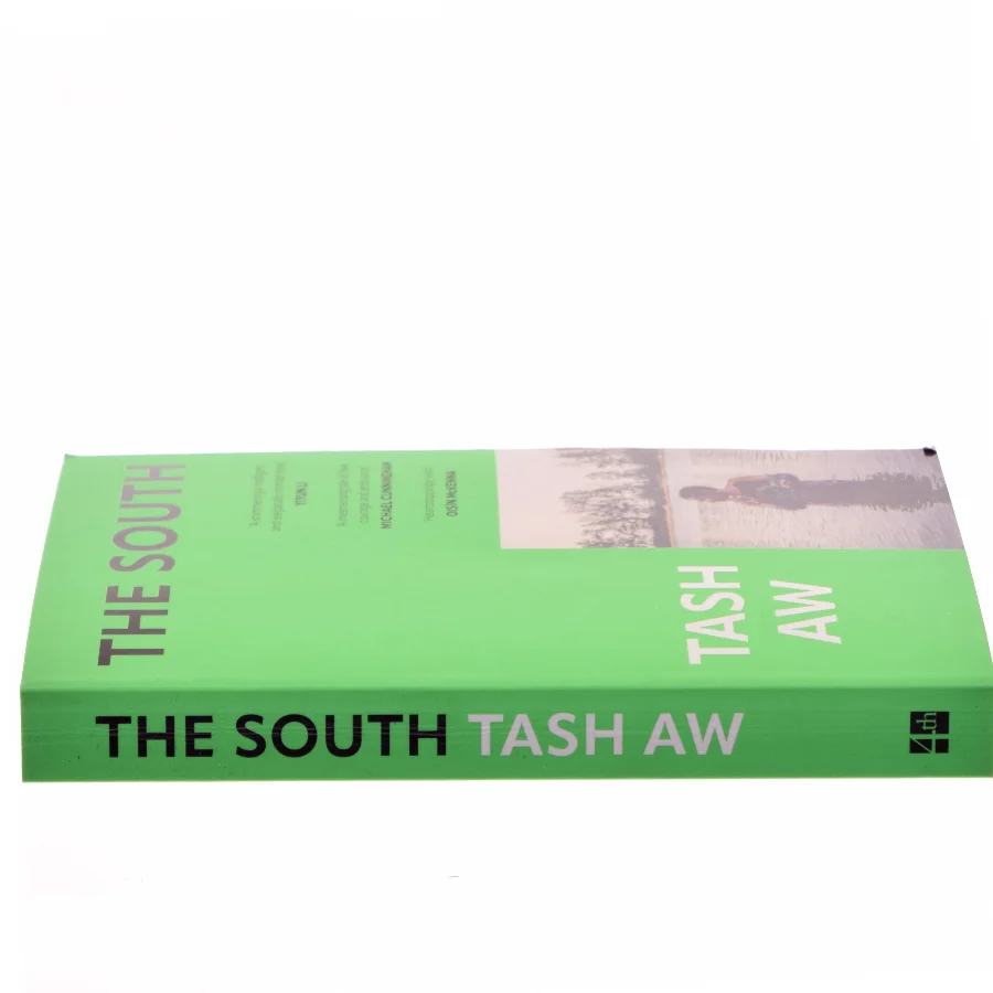 The south af Tash Aw (Bog)