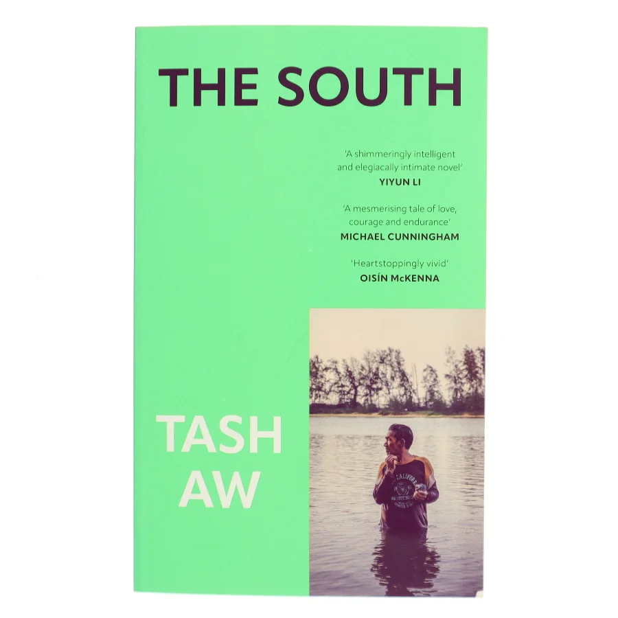 The south af Tash Aw (Bog)
