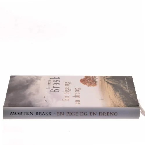 En pige og en dreng af Morten Brask (Bog)