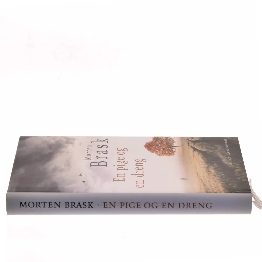 En pige og en dreng af Morten Brask (Bog)