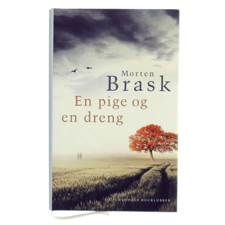En pige og en dreng af Morten Brask (Bog)
