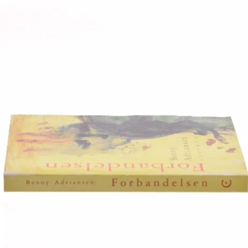 Forbandelsen af Benny Adriansen (Bog)