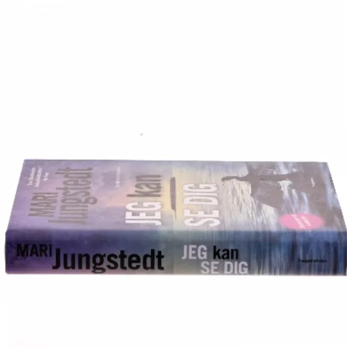 Jeg kan se dig : kriminalroman af Mari Jungstedt (Bog)