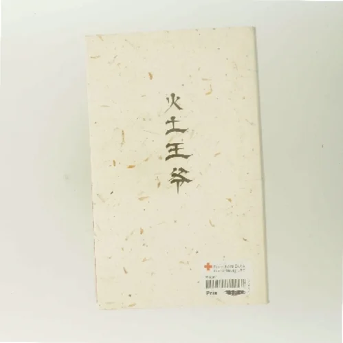 Kokkengudens hustru af Amy Tan (Bog)