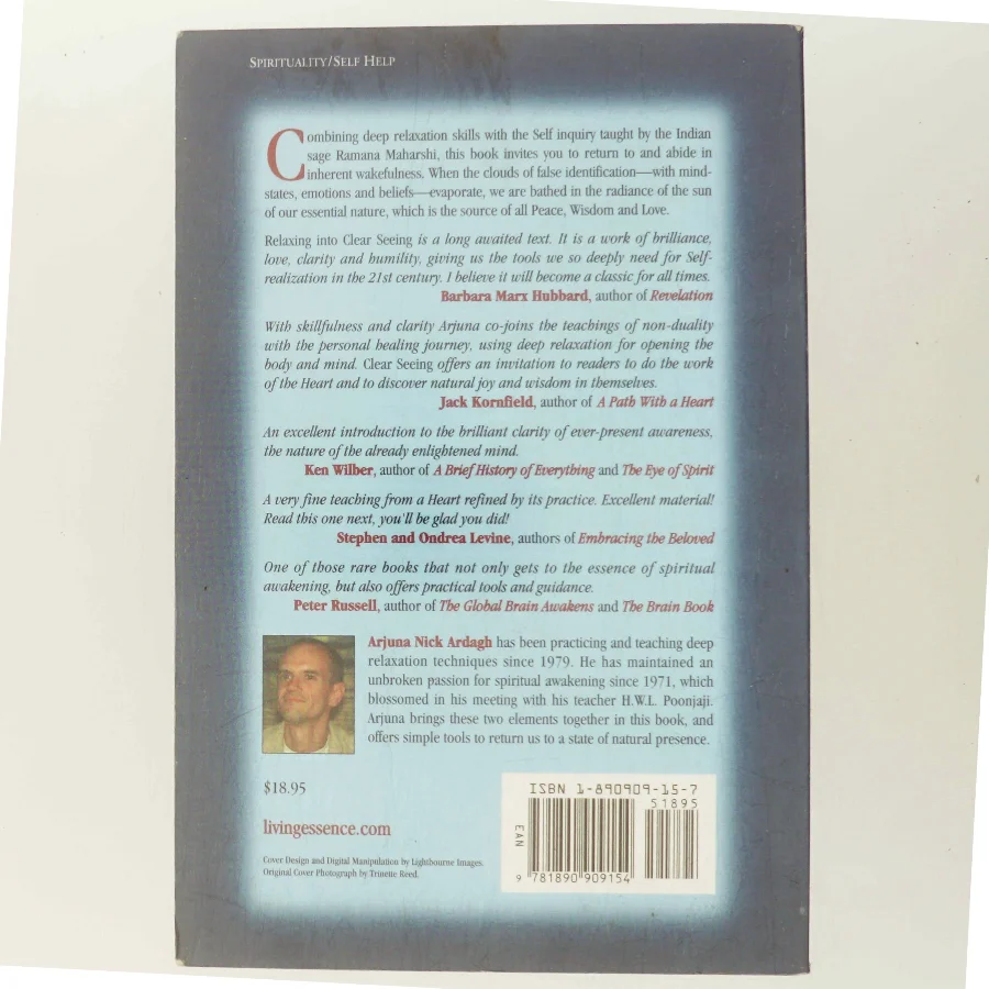 Relazing Into Clear Seeing af Arjuna Nick Ardagh (Bog)