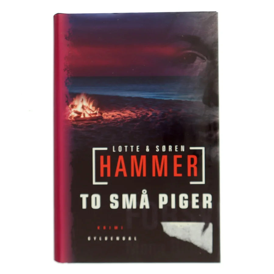To små piger : krimi af Lotte Hammer (Bog)