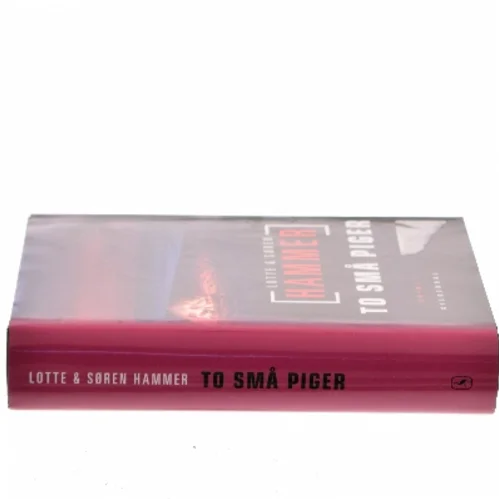 To små piger : krimi af Lotte Hammer (Bog)