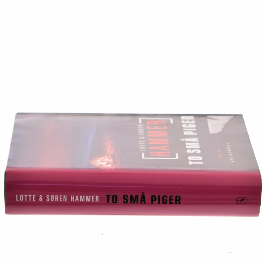 To små piger : krimi af Lotte Hammer (Bog)