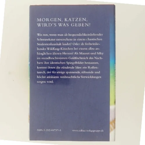 Das doppelte Weihnachtskätzchen af Andrea Schacht (Bog)