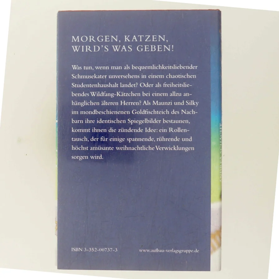 Das doppelte Weihnachtskätzchen af Andrea Schacht (Bog)