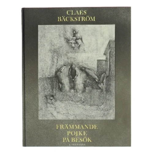Främmande pojke på besök af Claes Bäckström (Bog)