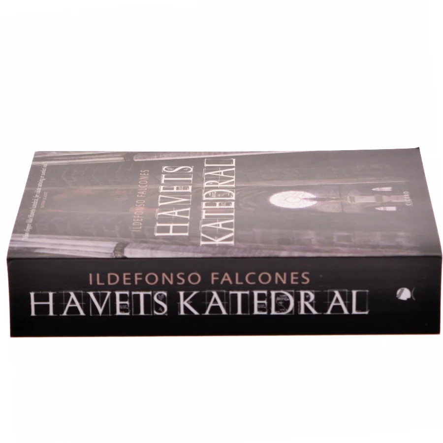 Havets katedral af Ildefonso Falcones (Bog)