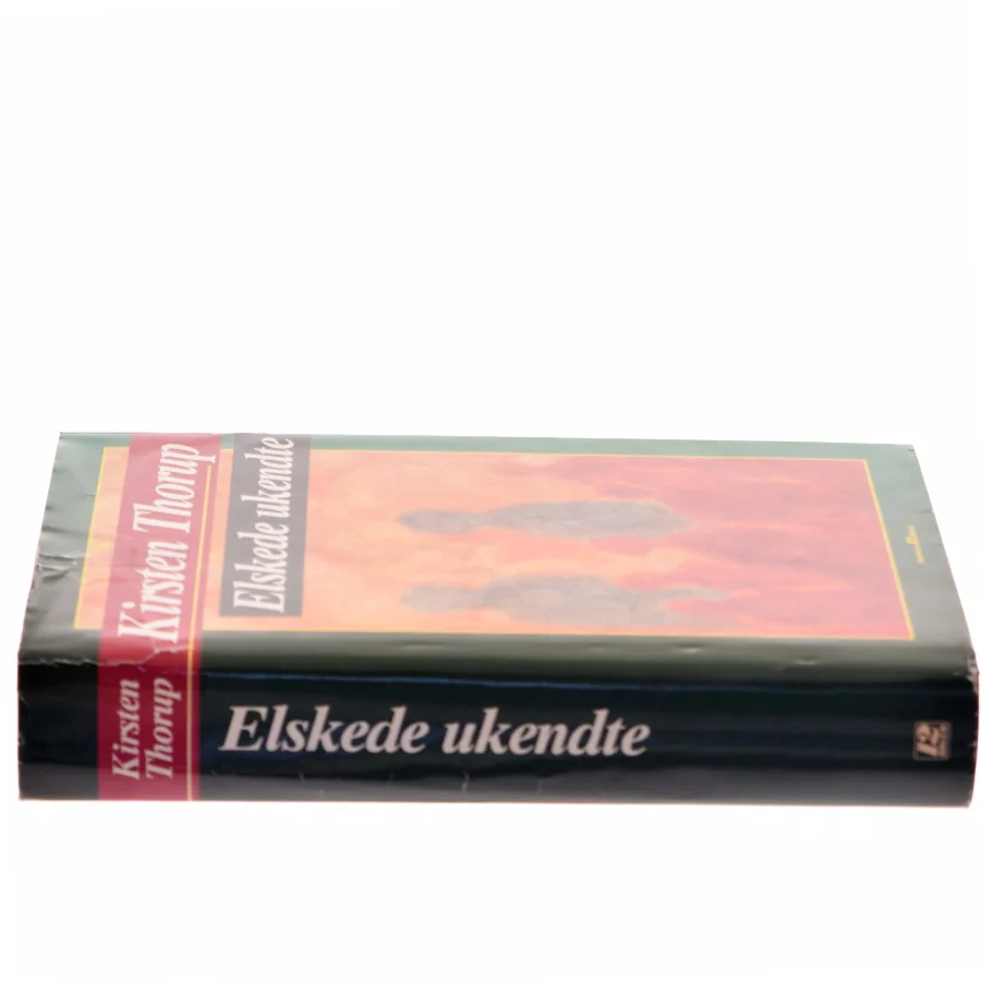 Elskede ukendte af Kirsten Thorup (Bog)