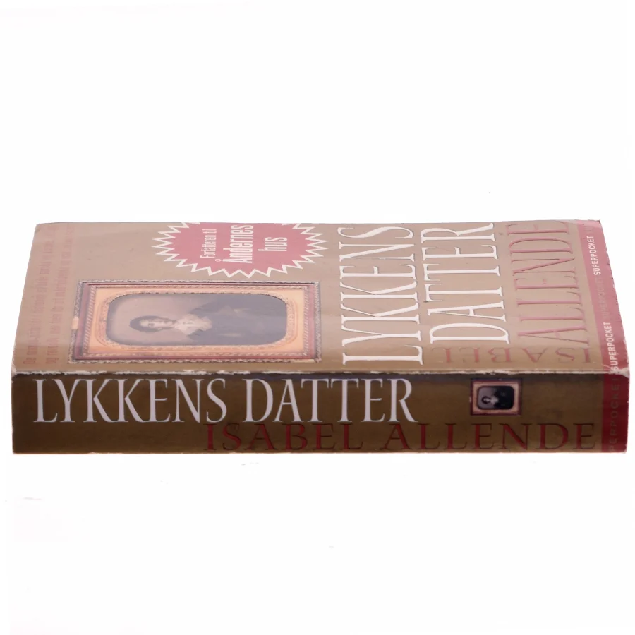 Lykkens datter af Isabel Allende (Bog)
