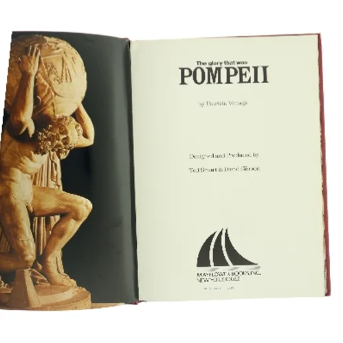 The Glory That Was Pompeii af Patricia Vanags (Bog)