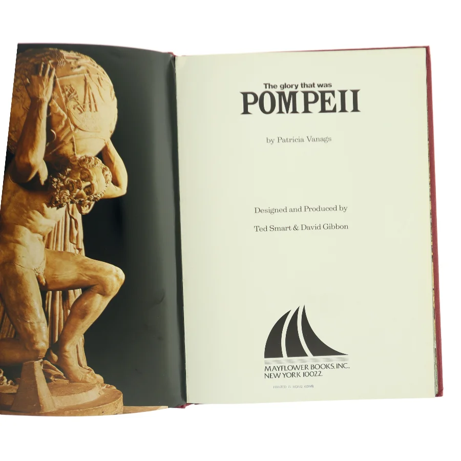 The Glory That Was Pompeii af Patricia Vanags (Bog)