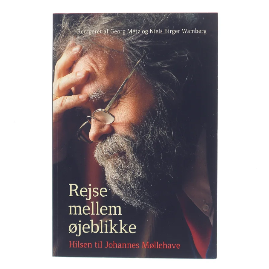 Rejse mellem øjeblikke : hilsen til Johannes Møllehave (Bog)