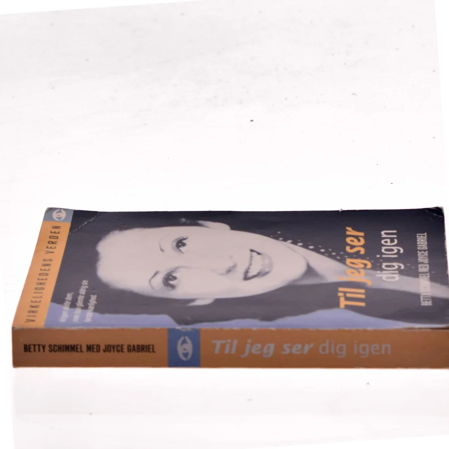 Til jeg ser dig igen af Joyce Gabriel (Bog)
