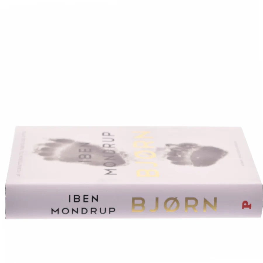 Bjørn af Iben Mondrup (Bog)