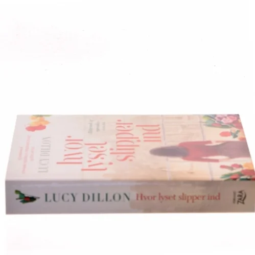 Hvor lyset slipper ind af Lucy Dillon (Bog)
