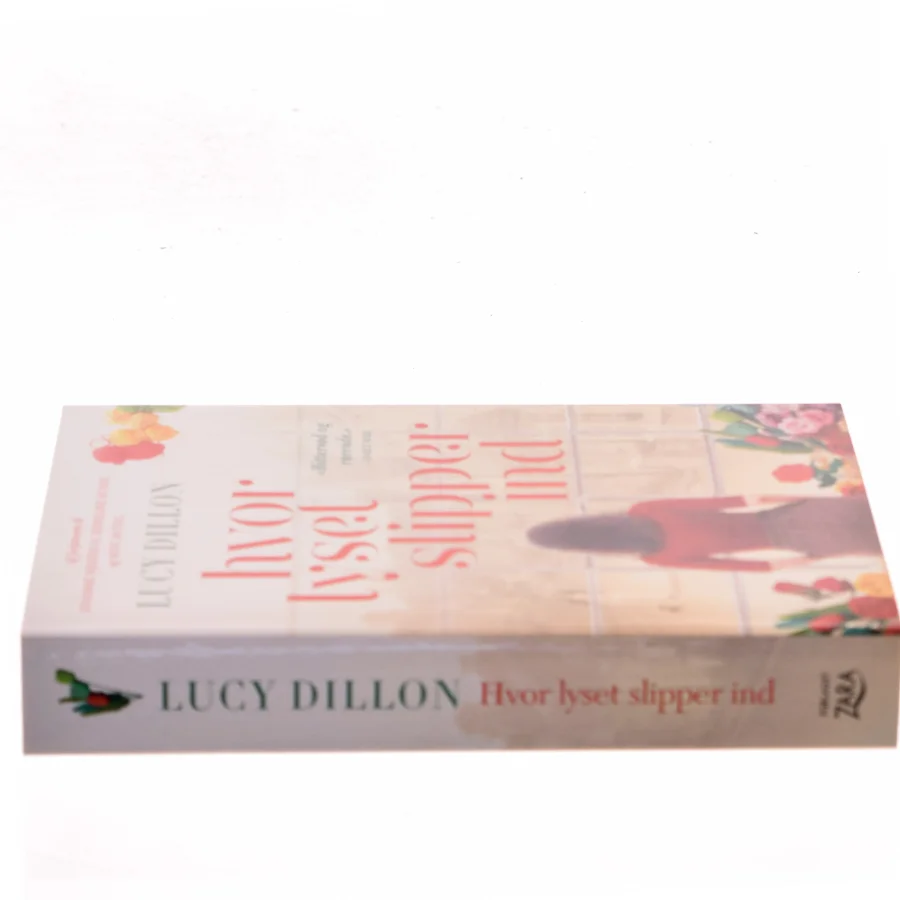 Hvor lyset slipper ind af Lucy Dillon (Bog)