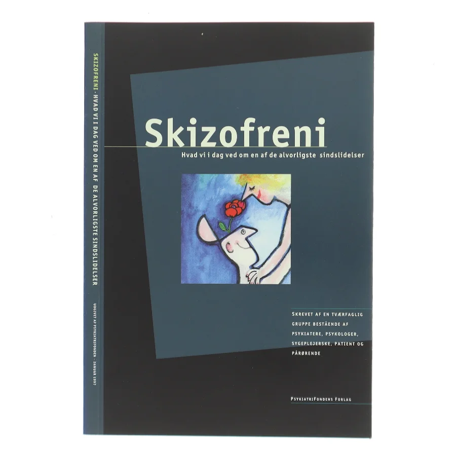 Skizofreni af Tværfaglig gruppe bestående af psykiatere, psykologer, sygeplejerske, patient og pårørende (Bog)