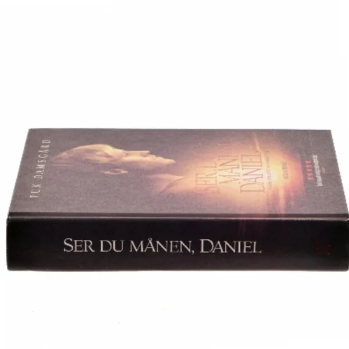 Ser du månen, Daniel : 13 måneder som gidsel hos Islamisk Stat af Puk Damsgård Andersen (Bog)