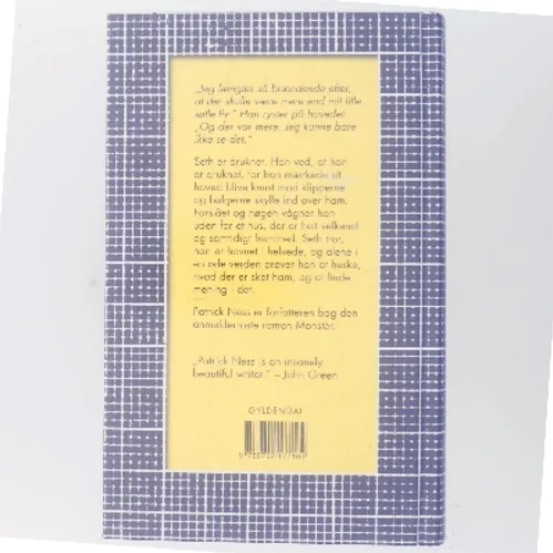 Mere end det af Patrick Ness (Bog)