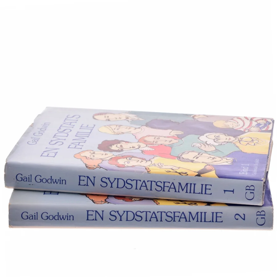 En sydstatsfamilie. Bind 1 af Gail Godwin (Bog)